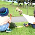 マザー牧場「秋のこども写生大会」