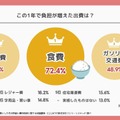 家計の負担増9割が実感、食費・光熱費・交通費の三重苦 画像