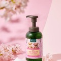 クナイプ、ふわふわ泡の春限定『泡ボディウォッシュ サクラの香り』が数量限定で登場！ 画像