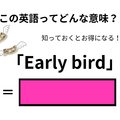 この英語ってどんな意味？「Early bird」 画像