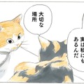「もう寒い季節は終わったよ」という知らせが…咲き誇る桜を見て２匹の猫が感じたことは？【続 ミケちゃんとやすらぎさん #５】 画像
