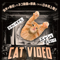 『CatVideoFest』