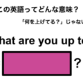 この英語ってどんな意味？「What are you up to?」 画像
