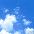 「JAPAN JAM」「OTODAMA」相次ぐGWフェス当日中止…強風で安全確保困難・施工物の損傷 5日公演開催可否は前日中に案内 画像