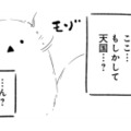 嵐の中、無理をして倒れてしまった僕…目が覚めると、そこは天国だった？【とりきっさ！ #21】 画像