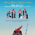 主演・ニワトリ！ CG＆AIほぼなし撮影でニワトリから見た人間社会描く『雌鶏』9月25日公開 画像