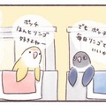 隣同士のケージで暮らす2羽のインコ。一体どんな会話をしているの？【うちのインコたちは今日もおしゃべり #２】