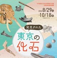 特別展「発見された東京の化石」日比谷図書文化館で8/29から 画像