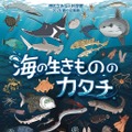 【夏休み2026】みなと科学館「海の生きもののカタチ」企画展9/13まで…実寸大エイも 画像