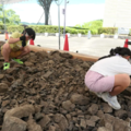 化石発掘体験のようす