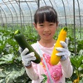 【夏休み2026】八ヶ岳農業大学校で収穫体験「やさい博士ツアー」自由研究にも 画像