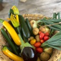 収穫した野菜