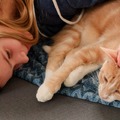 亡き父が大切にしていた猫を「保健所に連れていけ」と言い放った夫…それでも妻が離婚できなかった理由とは 画像