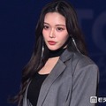せいせい、美脚際立つガーター網タイツ×ショーパンコーデに反響「セクシーすぎる」「着こなせるの凄い」の声 画像