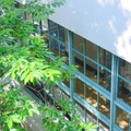 【中学受験】今週末行ける中高一貫「学校見学」8/8…桜蔭、品川女子など10校 画像