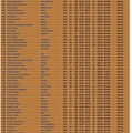国際情報オリンピック(IOI2026):銅メダル(一部抜粋)