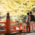 40代彼女に「頼むから離れて歩いてくれないかな」と言いかけた！秋のデートで絶対NGなコーデって？