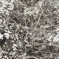 市川孝典、個展「FLEETING DAYS」10月7日より渋谷・NONLECTURE book/artsで開催 画像