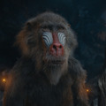 『ライオン・キング：ムファサ』© 2024 Disney Enterprises, Inc.