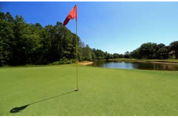 ゴルフではなく『三密』が悪いだけ【小川淳子の女子ツアーリポート“光と影”】 画像