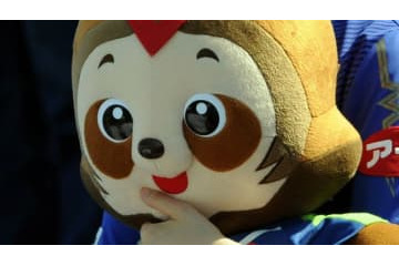 徳島ヴォルティスとアビスパ福岡、J1昇格！最終節を前に決着 画像