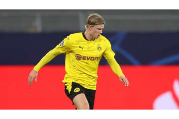  「背が低かったから頭脳を鍛えた」194cm怪物ホーランの秘話がおもしろい 画像