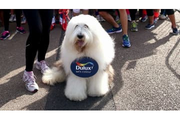 モウリーニョ監督の「…なにそれ？」リアクションが話題 新スポンサー騒動で 画像