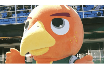 関西リーグ第2節にQolyが直撃！2つの「劇的AT同点劇」をレポ 画像