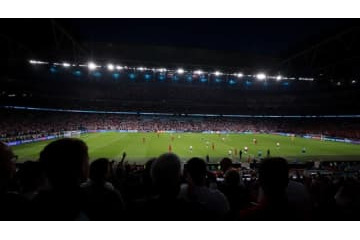 EURO2020決勝、ウェンブリーに虫の大群襲来か 画像