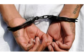 CL前の「大暴動」映像…ディナモ・キエフのファン、54名が逮捕 画像