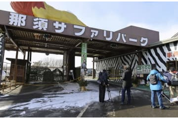トラ飼育員の負傷で行政指導 画像