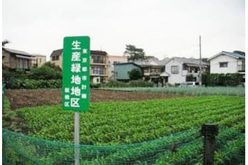 都市部の農地、最低7割は存続 画像