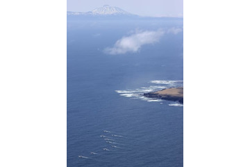 「筆舌に尽くせぬ悲しみ」 画像