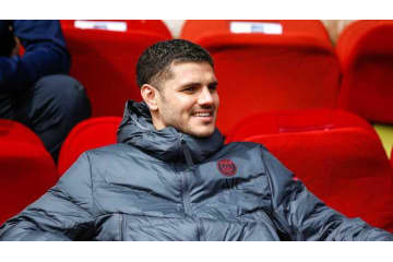 イカルディ、ゴリラと会う 画像