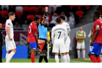 W杯出場を逃したニュージーランド、「極悪非道」と監督が審判酷評 画像