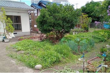 外国ルーツの子供に居場所を 画像