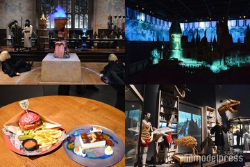 スタジオツアー東京、日本初上陸企画「炎のゴブレット」展示公開 貴重な撮影小物や衣装、ホグワーツ城の映像演出も 画像