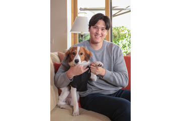 大谷翔平選手、愛犬・デコピンの2歳誕生日を報告 最新ショット披露に「すっかりお兄ちゃん」「お祝いが素敵」の声 画像