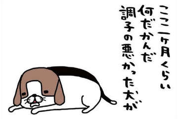 飼い主あるある！「何しに来たっけ？」用事でリビングへ行ったのに、愛犬に夢中で【パンダと犬 ＃28】 画像