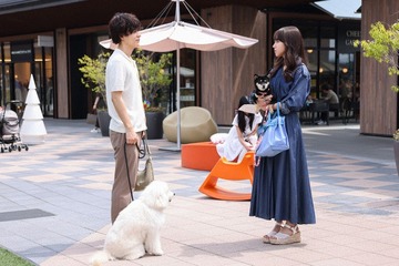 【初恋DOGs 第1話】愛子（清原果耶）＆快（成田凌）、愛犬同士が恋に落ちる 画像