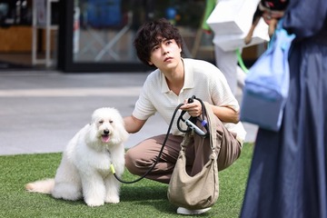 成田凌、火曜ドラマ枠出演に驚き こじらせ獣医・快の魅力とは「“鈍さ”が愛しく見えたら」【初恋DOGs】 画像