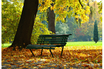 孫と遊ぶ70代の祖父母　祖父が落ち葉を拾うと…→まさかの”ごっこ遊び”に「周囲まで笑顔に」「この時間が一番の贅沢」 画像