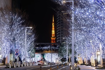 六本木ヒルズ冬の風物詩「けやき坂イルミネーション」11月4日点灯、恒例のクリスマスマーケットも開催 画像