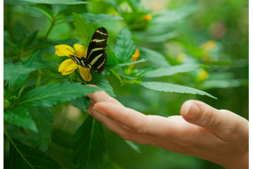 虫が大の苦手な私 洗濯物も外に干せなかったが⇒出産を機に「自分でもびっくり」 画像