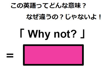 この英語ってどんな意味？「Why not?」 画像