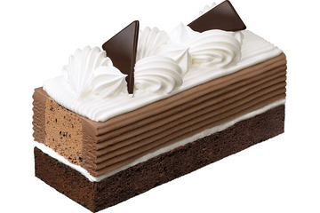 サーティワン“ダブルチョコ”の新作アイスケーキ、11月14日登場 2種類の人気フレーバーを使用 画像