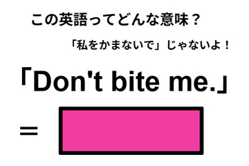 この英語ってどんな意味？「Don’t bite me.」 画像