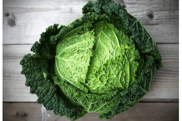 買ったキャベツを廊下に放置→しかし次の瞬間…愛犬の”まさかの行動”に「何これ！」 画像