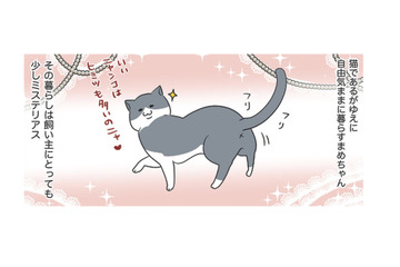 「愛猫の一日」ひとり時間を好み、自由気ままな暮らしぶり。飼い主にとってもミステリアス【おさんぽですし！　おしゃべり犬とイライラ猫の日記 #21】 画像