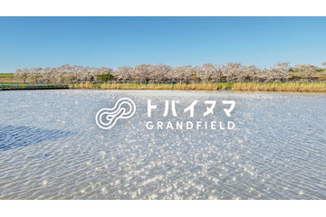 埼玉にアウトドア施設「トバイヌマGRAND FIELD」春は桜並木に囲まれ、キャンプやサウナ付グランピング 画像
